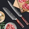 Premium Japanese Style Damascus Steel Chef Knives Set Of 6 With Case 1