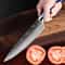 Premium Japanese Style Damascus Steel Chef Knives Set Of 6 With Case 2