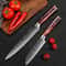 Premium Japanese Style Damascus Steel Chef Knives Set Of 6 With Case 4