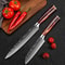 Premium Japanese Style Damascus Steel Chef Knives Set Of 6 With Case 4