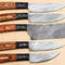 5Piece Handmade Damascus Kitchen Knife Set Pakka Wood Grip 2