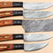 5Piece Handmade Damascus Kitchen Knife Set Pakka Wood Grip 2