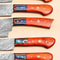 Premium Damascus Steel Chef Knife Set 512 Layer Blades 3