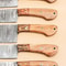 Custom Handmade Damascus Kitchen Knife Set With Leather Sheath 2