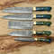 Professional 5Piece Damascus Kitchen Knife Set Resin Handle Design 0