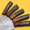 Professional Handmade Damascus Chef Knife Set With Pakka Wood Handles 3