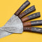 Professional Handmade Damascus Chef Knife Set With Pakka Wood Handles 2
