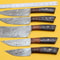 Professional Handmade Damascus Chef Knife Set With Pakka Wood Handles 1