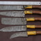 Custom Damascus Steel Kitchen Knives Set Pakka Wood Chef Knife Collection 2