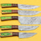 5Piece Handmade Damascus Kitchen Knife Set Razor Sharp Blades 0