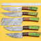5Piece Handmade Damascus Kitchen Knife Set Razor Sharp Blades 1