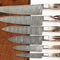 Custom Damascus Steel 6 Pc Kitchen Chef Knife Set With Stag Handles 0