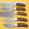 Handmade Damascus Steel Chef Knife Set Rose Wood Handle 2