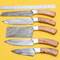 Handmade Damascus Steel Chef Knife Set Popular Wood Handle Kitchen Knives 0