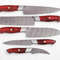 Handmade Damascus 5Piece Chef Knife Set Red Dollar Wood Handle Custom Kitchen Knives 1