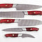 Handmade Damascus 5Piece Chef Knife Set Red Dollar Wood Handle Custom Kitchen Knives 1