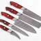 Handmade Damascus 5Piece Chef Knife Set Red Dollar Wood Handle Custom Kitchen Knives 2