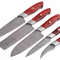 Handmade Damascus 5Piece Chef Knife Set Red Dollar Wood Handle Custom Kitchen Knives 0