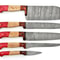 Handmade Damascus 5Piece Chef Knife Set Dollar Wood Handle 1