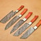 Custom Damascus Steel Chef Knife Set Handmade 5Piece Kitchen Cooking Knives 1