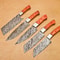 Custom Damascus Steel Chef Knife Set Handmade 5Piece Kitchen Cooking Knives 2