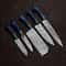 Custom Handmade Damascus Steel 5 Pc Knife Set For Kitchen Outdoor Use 2