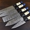 Handmade Damascus Steel Chef Hunting Knife Set 5 Pc Camel Bone Handle 1