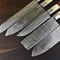 Handmade Damascus Steel Chef Knife Set 5 Pc Camel Bone Handle 2
