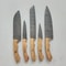Custom Handmade Damascus Steel 5 Pcs Chef Knife Set Blue Wood Handle Kitchen Knives 3
