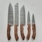Custom Handmade Damascus Steel 5Piece Chef Knife Set Pukka Wood Handle Professional Kitchen Knives 3