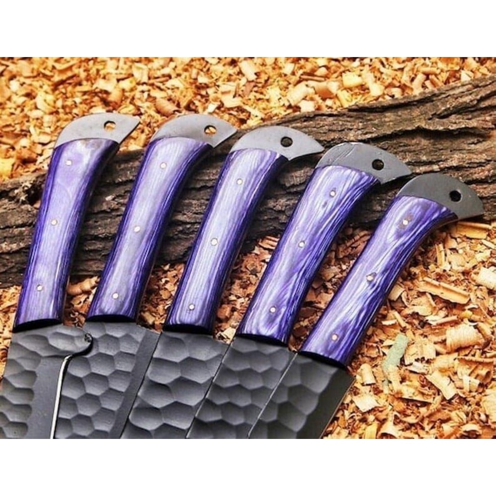 Premium PowderCoated Carbon Steel Chef Knife Set Handmade 5Piece Kitchen Knives With Leather Kit 2