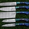 Hand Forged Damascus Steel Chef Knife Set Professional 5 Piece Kitchen Knives 2