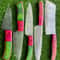 Custom Damascus Steel Kitchen Knife Set 5Pcs Handmade Chef Knives Gift Set 1