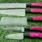 5 Pcs Custom Handmade Damascus Steel Chef Knife Set Professional Kitchen Knives Collection 2