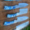 Custom Handmade D2 Steel Forged Chef Knife Set With Resin Handle Sheath 1