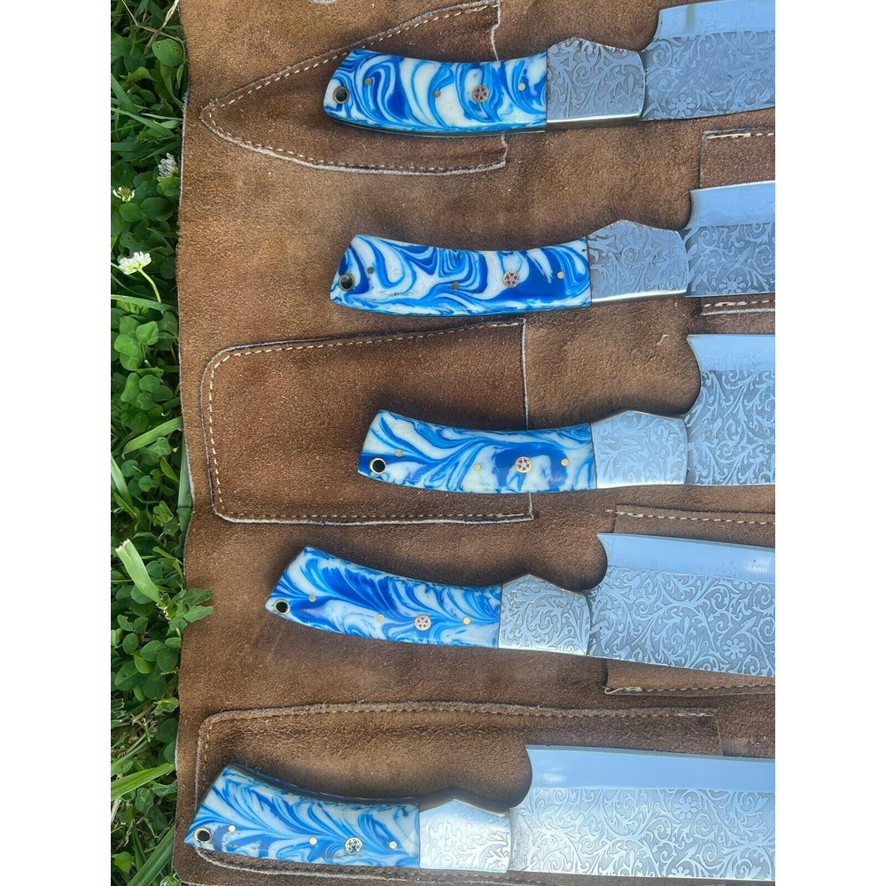 Custom Handmade D2 Steel Forged Chef Knife Set With Resin Handle Sheath 3