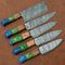 5 Pcs Forged Damascus Steel Kitchen Knife Set Handmade Chef Knives With Wood Handles 0