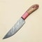 Unique Handmade Damascus Steel Knife Kitchen Chef Knife With Pakka Wood Handle 0