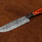 Professional Damascus Steel Kitchen Knife Handcrafted Chef Knife For Cooking Gift 3
