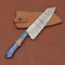 Professional Handmade Damascus Steel Chef Knife Full Tang Handle 3