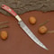 Handmade Damascus Steel Cooking Knife Professional Chef Knife With Wooden Handle 0