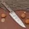 Razor Sharp Handmade Damascus Chef Knife Kitchen Outdoor Use Knife 2