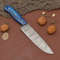 Custom Forged Damascus Steel Kitchen Knife  Fillet Chef Knife With Leather Sheath 0