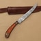 Damascus Glory Handmade Chef Fillet Knife For Professional Home Kitchens 1