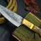 Professional Damascus Steel Knife Wood Handle Handcrafted Leather Sheath 1
