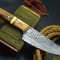 Professional Damascus Steel Knife Wood Handle Handcrafted Leather Sheath 0