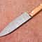 Premium Damascus Steel Knife Resin Handle HandStitched Leather Sheath 3