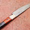 Handmade Damascus Steel Outdoor Knife Wooden Handle Leather Sheath 3