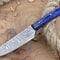 Custom Handmade Damascus Steel Kitchen Chef Knife With Blue Resin Thappa Handle 0