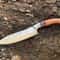 Damascus Steel Professional Chef Knife Handcrafted Wood Handle 0